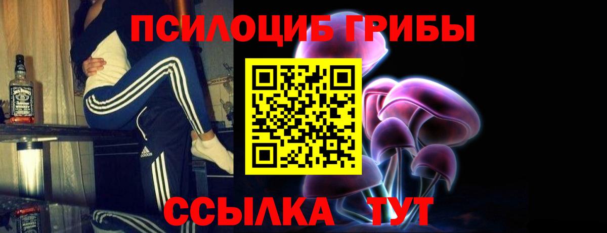 Псилоцибиновые грибы Psilocybine cubensis  Вход с VPN  Камышин 